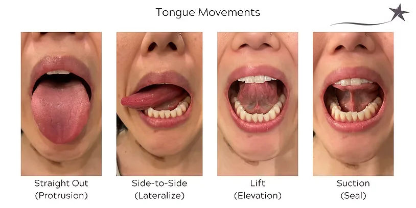 Tongue movements: protrusion, lateralization, elevation, suction